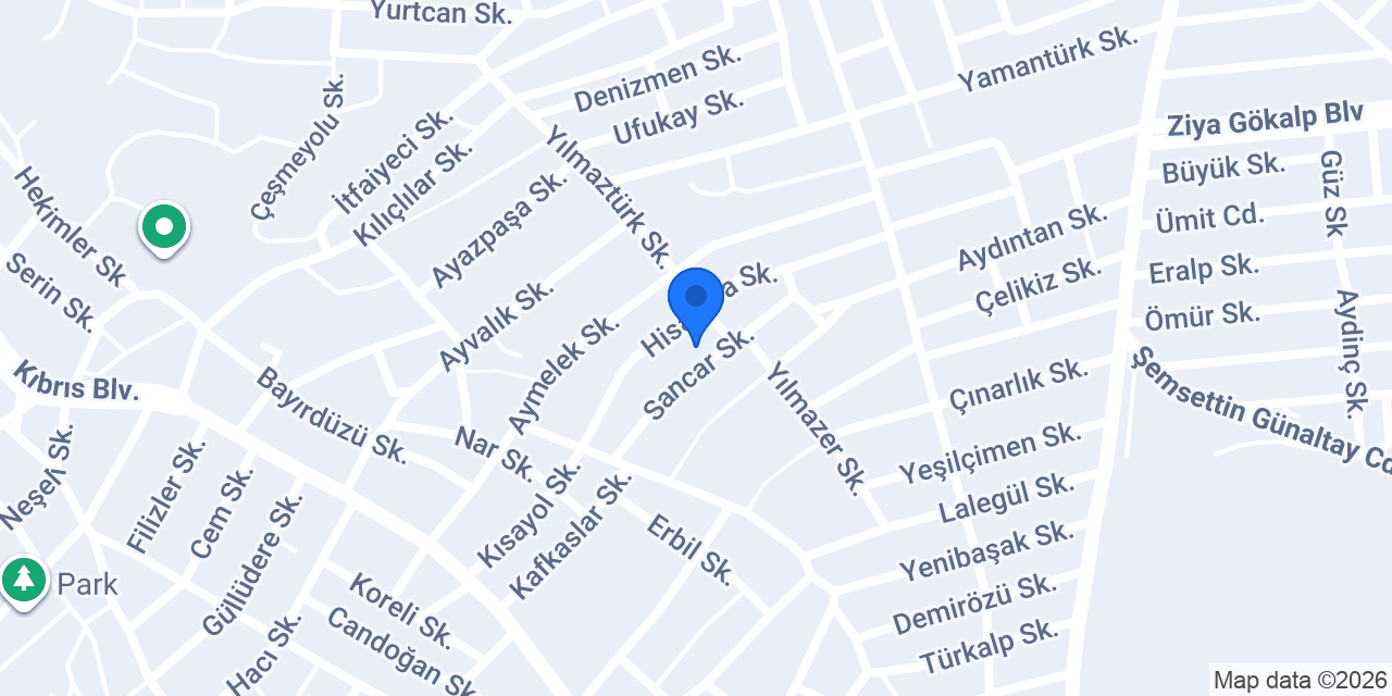 Es Dünya konumu