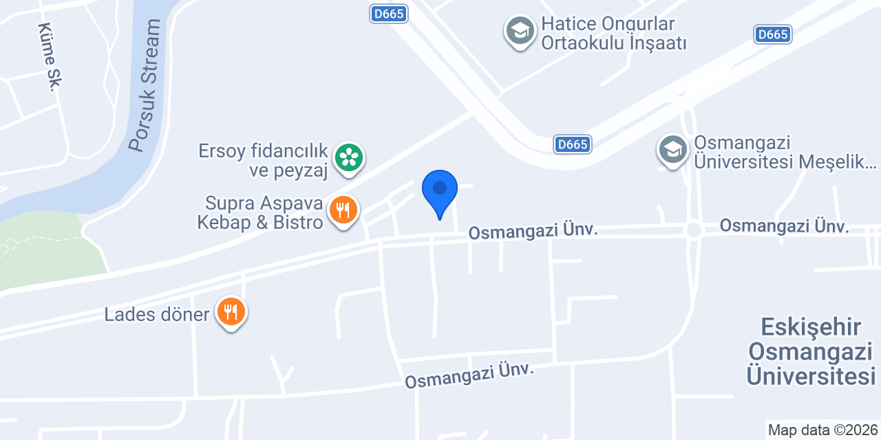 ESOGU Uluslararası İlişkiler Birimi konumu