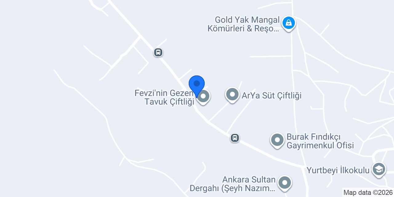 Leke Doktoru Halı Yıkama konumu