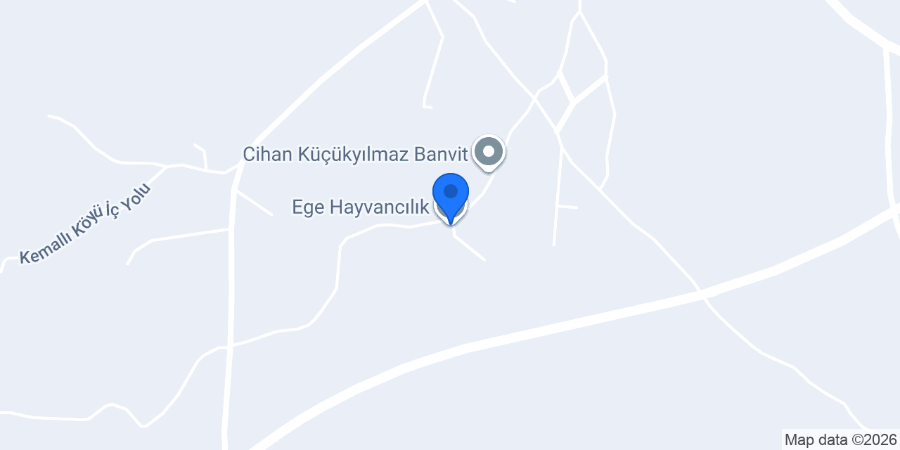 Ege Hayvancılık konumu