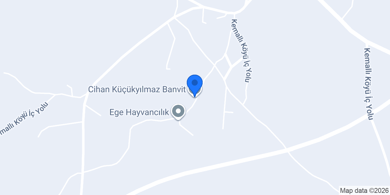 Cihan Küçükyılmaz Banvit konumu