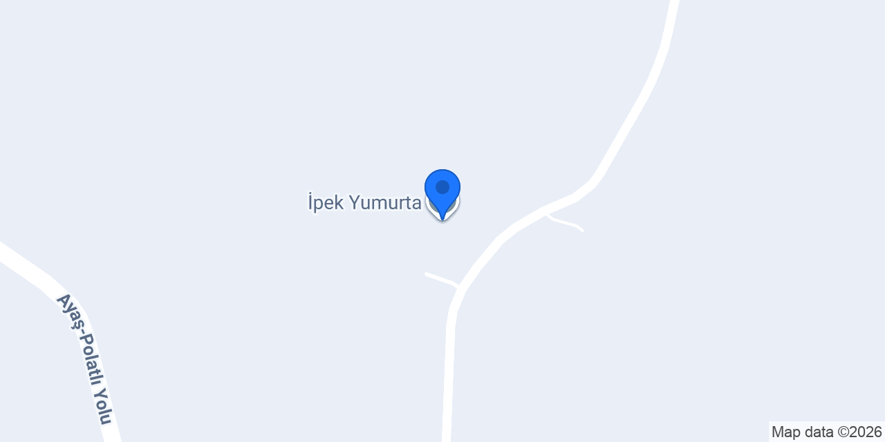 İpek Yumurta konumu
