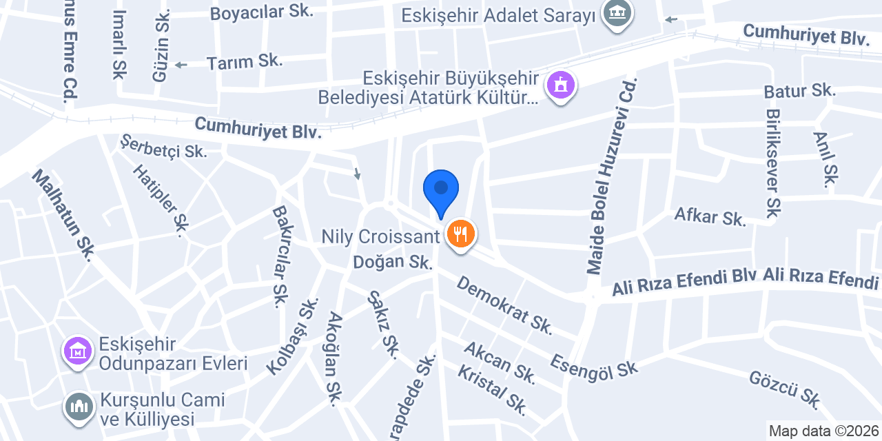 Pasaport Pizza Odunpazarı konumu