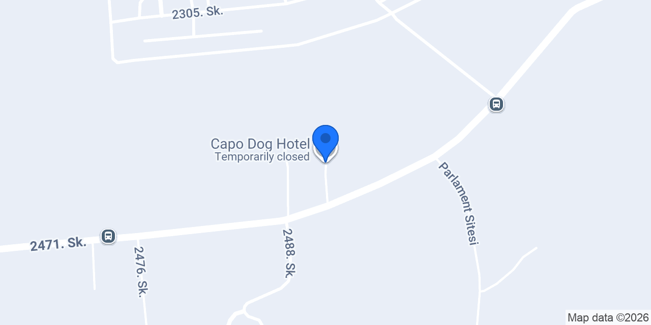 Capo Dog Hotel konumu