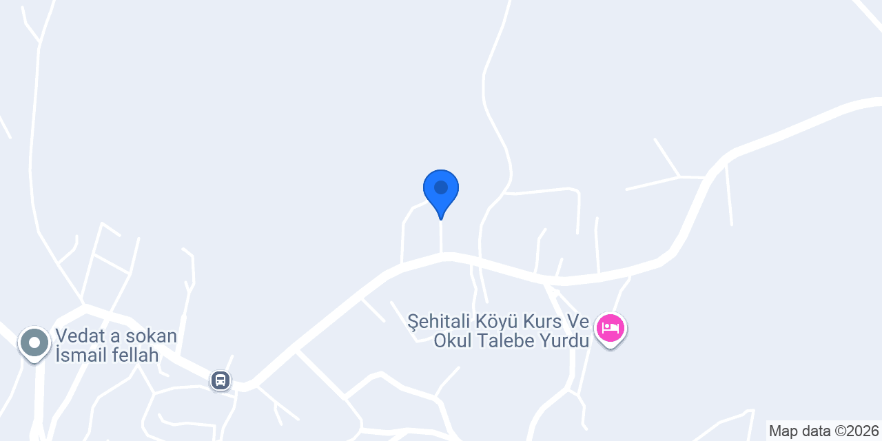 Altınışık Bağevi konumu