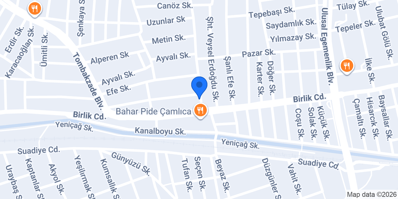 Alp Elektrik konumu