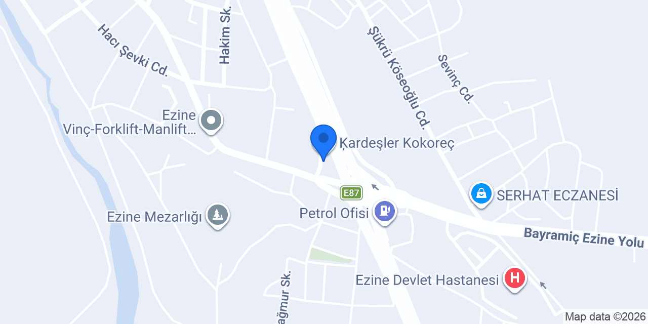 Koko Sezgin konumu