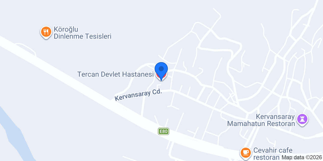 Tercan Devlet Hastanesi konumu