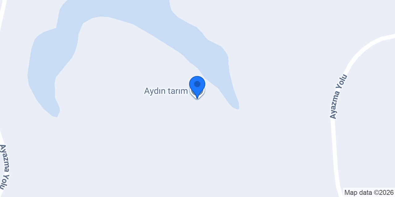 Aydın tarım konumu