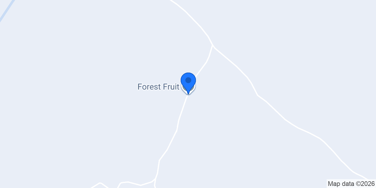 Forest Fruit konumu