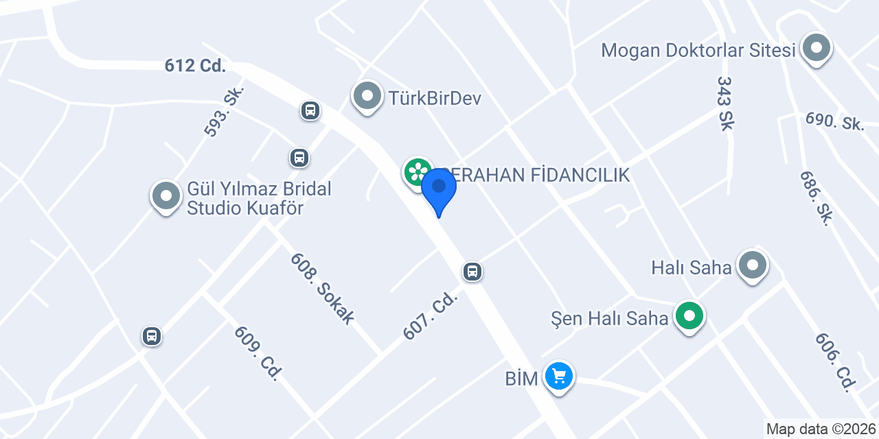 Alize Yapı Denetim konumu
