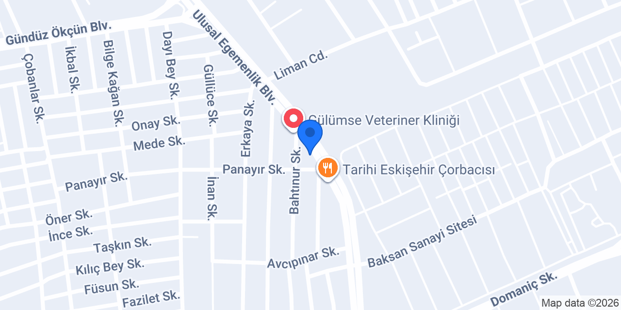 Gülümse Kedi Oteli konumu