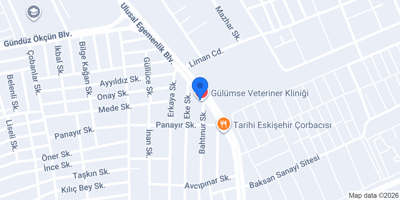 Kuzeyçelik İnşaat Emlak konumu