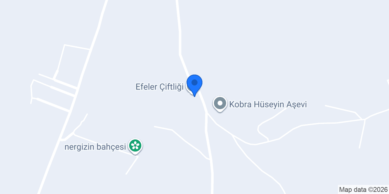 Efeler Çiftliği konumu