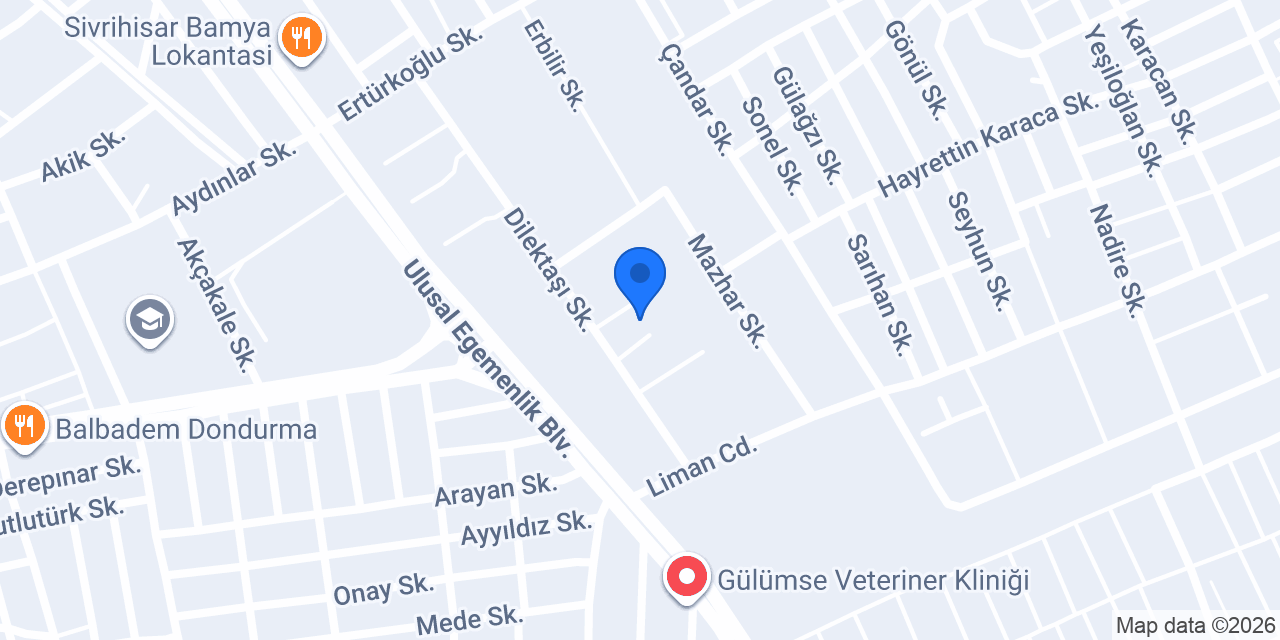 SDF KERESTE VE DIŞ TİCARET LTD. ŞTİ. konumu