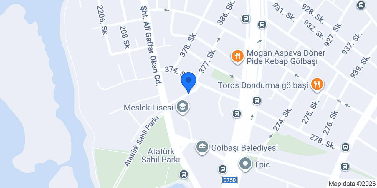 MsEverything konumu