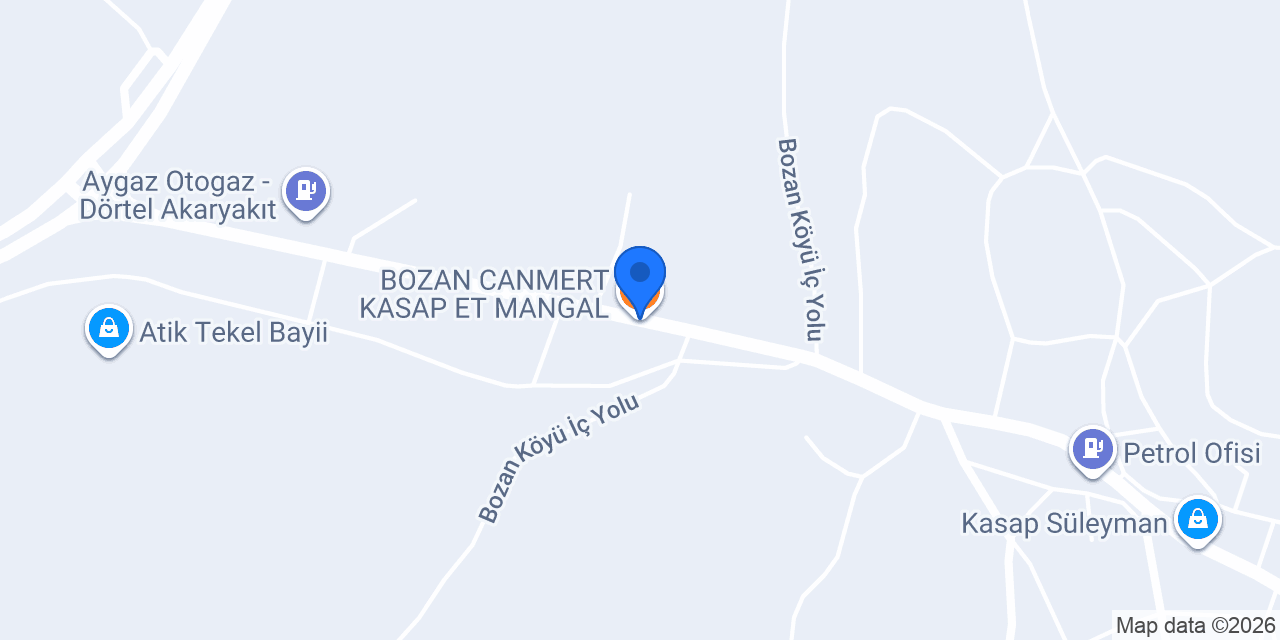 BOZAN CANMERT KASAP ET MANGAL konumu
