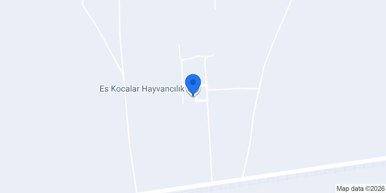 Es Kocalar Hayvancılık konumu