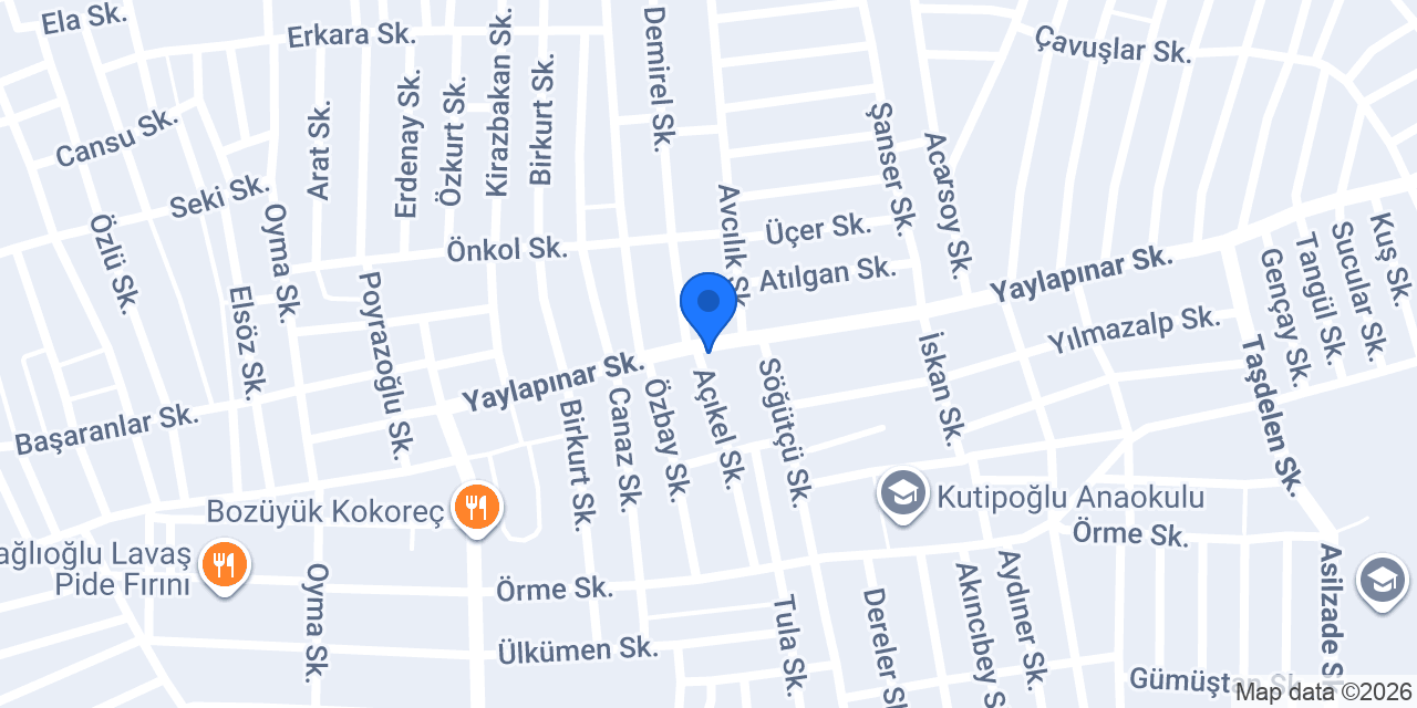 Mesut Elektronik konumu