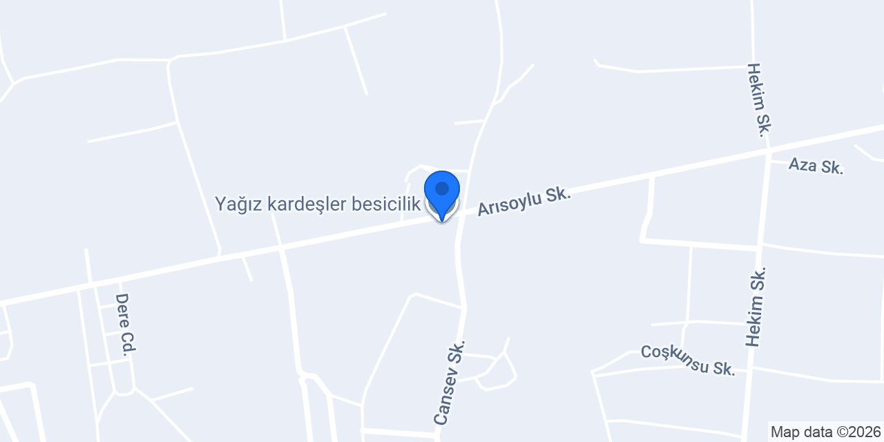 Yağız kardeşler besicilik konumu