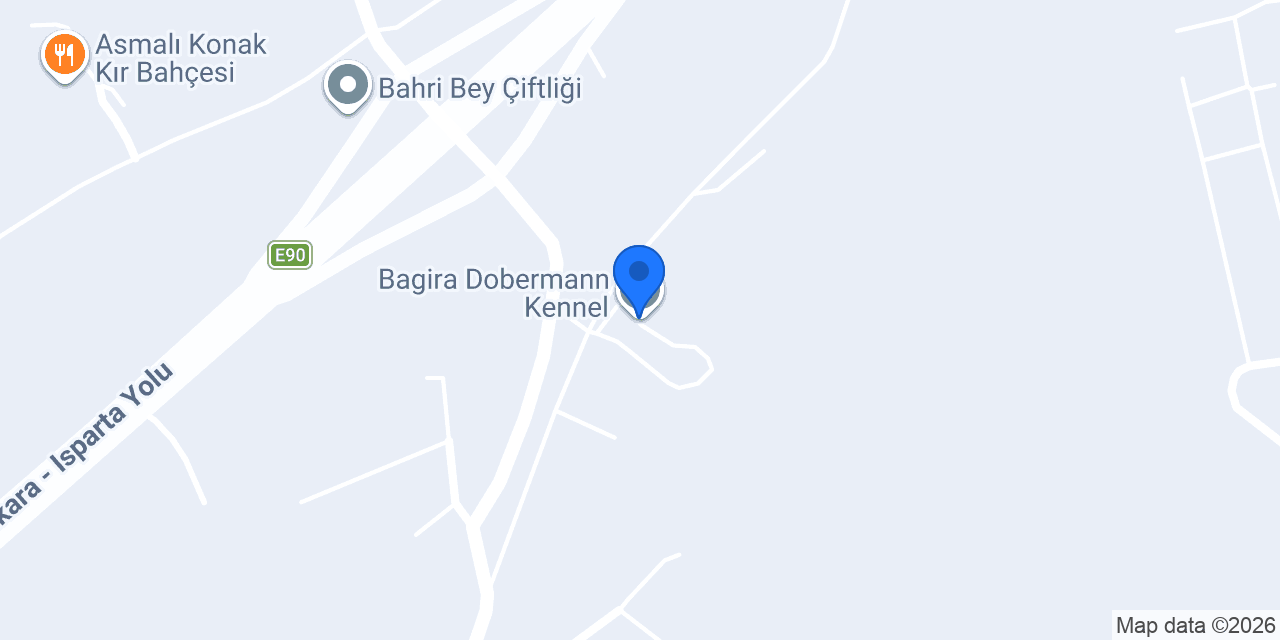 Bagira Dobermann Kennel konumu