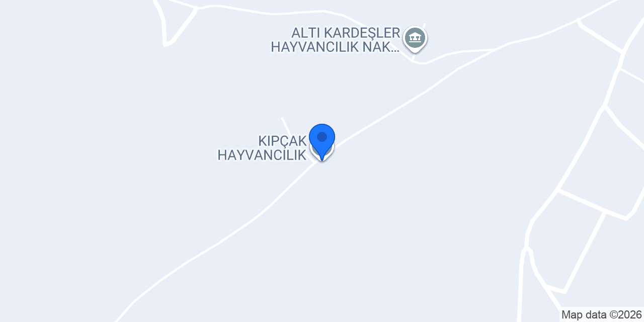 KIPÇAK HAYVANCILIK konumu