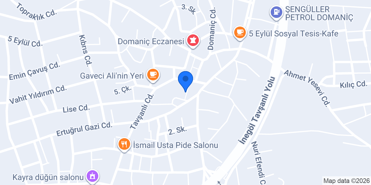 Öz Tesla elektrik konumu