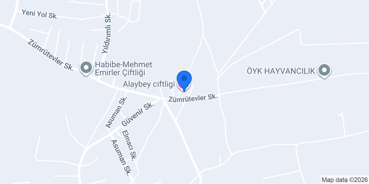Alaybey ciftligi konumu