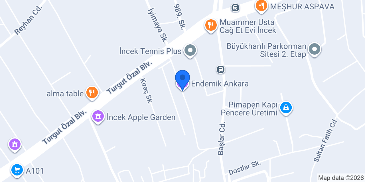 Endemik Ankara konumu