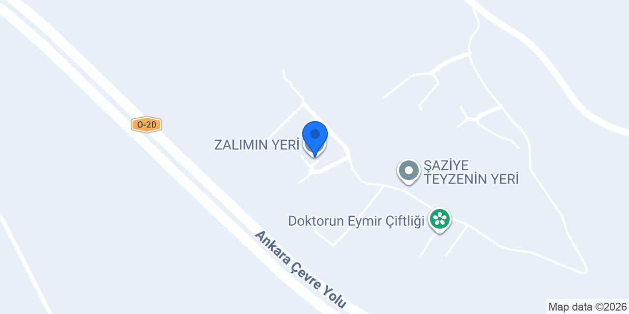 ZALIMIN YERİ konumu