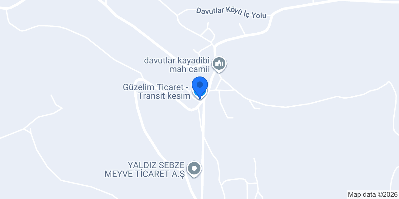 Güzelim Ticaret - Transit kesim konumu