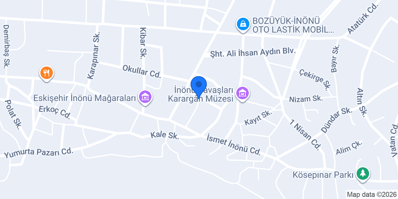 BAŞKAN OTO LASTİK konumu