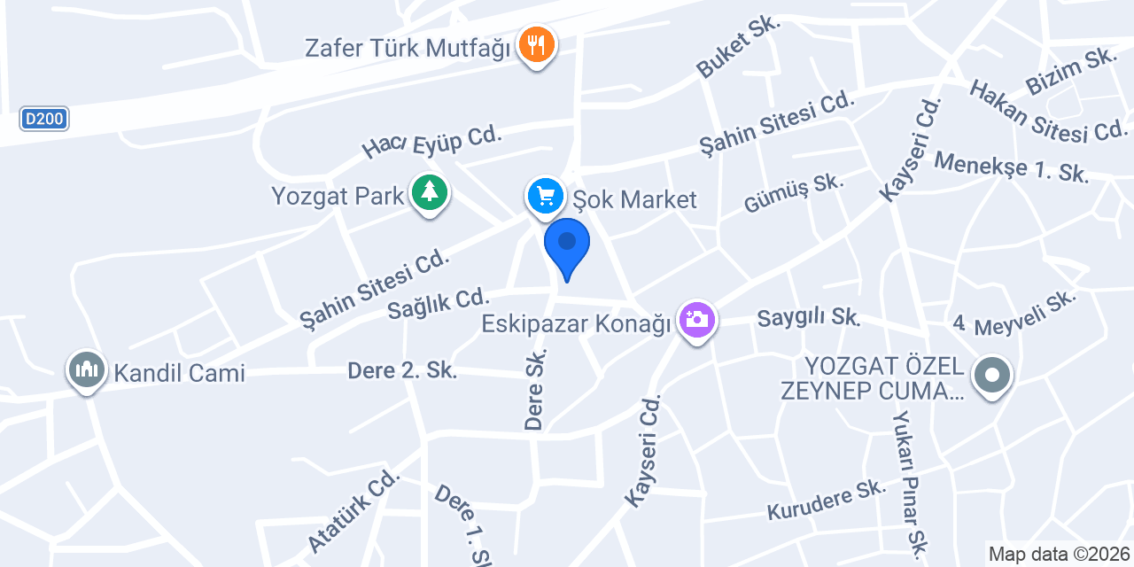 ANADOLU GRUP konumu