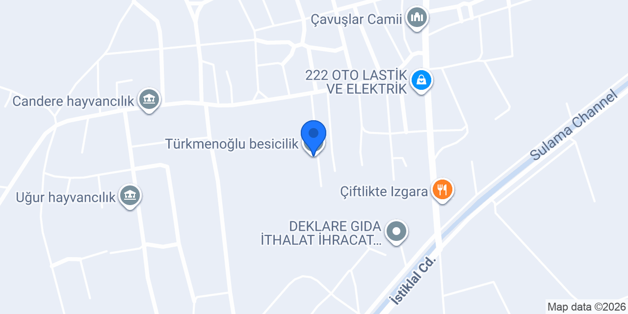 Türkmenoğlu besicilik konumu