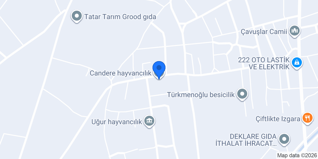 Candere hayvancılık konumu