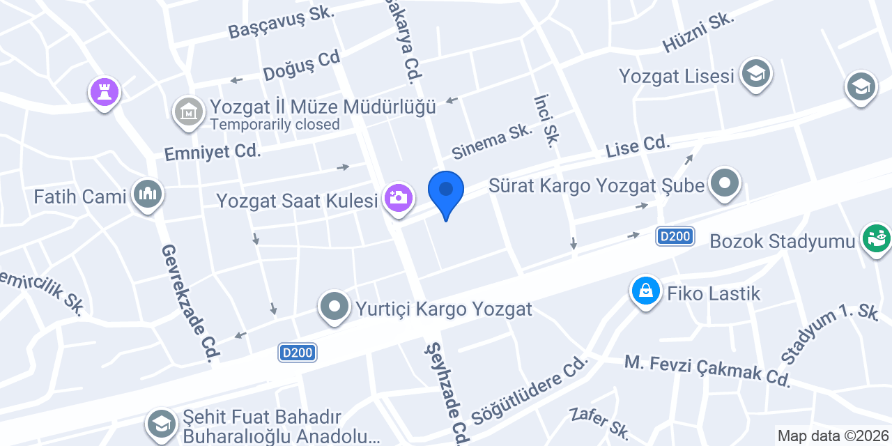 Western Union konumu