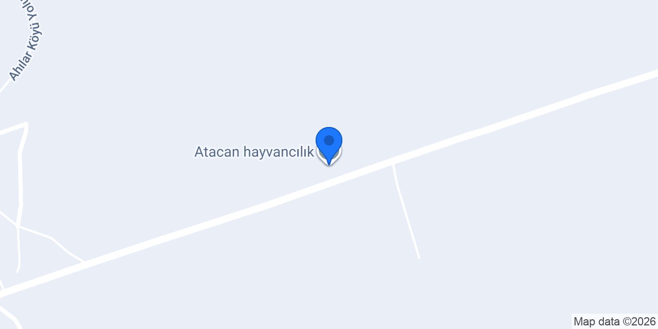 Atacan hayvancılık konumu