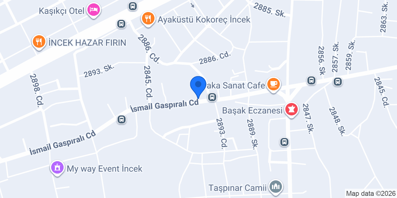 Vionix İncek konumu