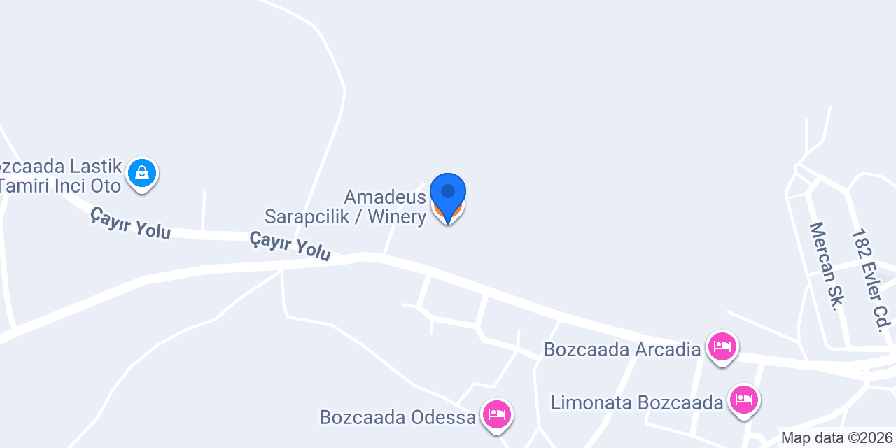 Amadeus Sarapcilik / Winery konumu