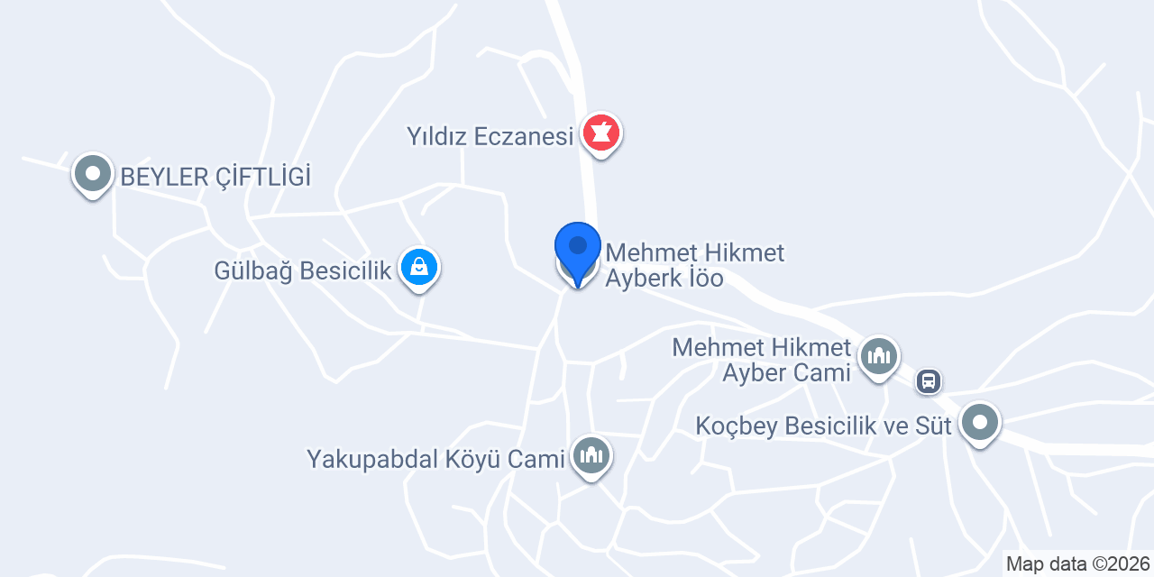Mehmet Hikmet Ayberk İöo konumu