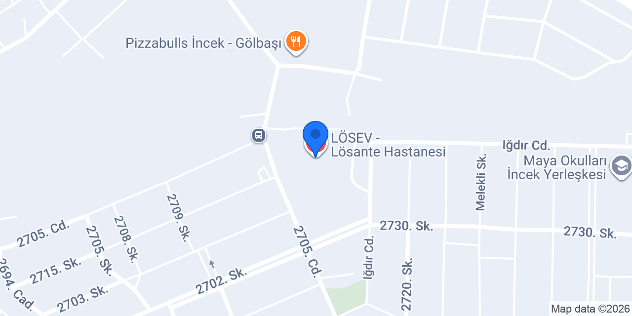 LÖSEV - Lösante Hastanesi konumu