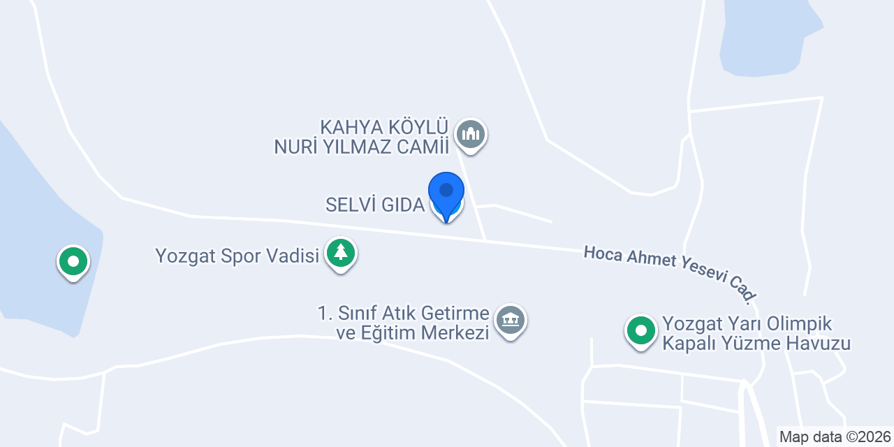 SELVİ GIDA konumu