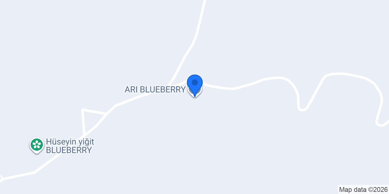 ARI BLUEBERRY konumu
