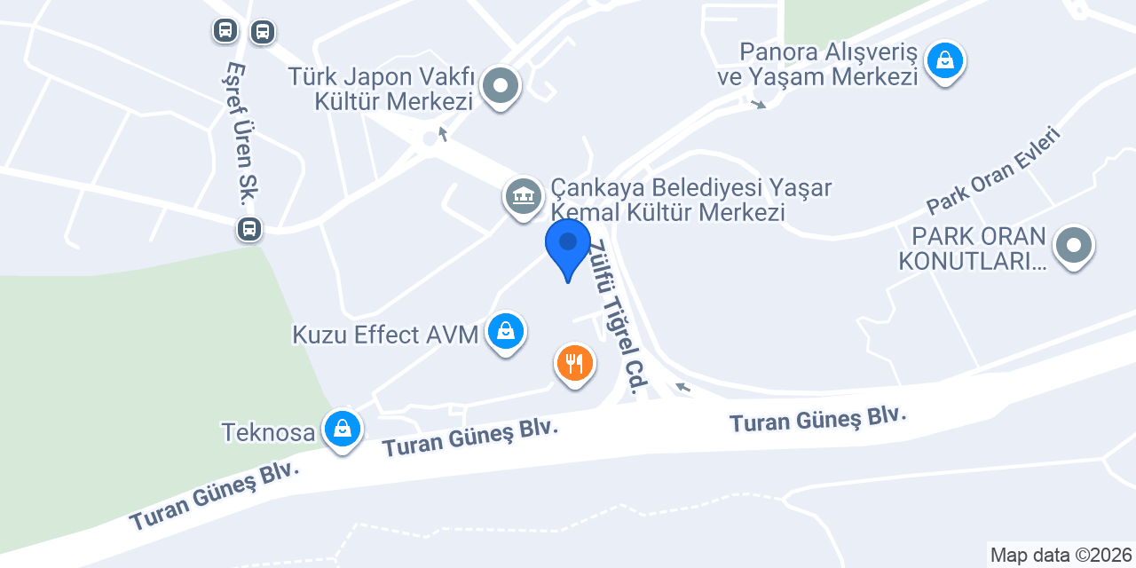 Prof. Dr. Öznur Öken konumu