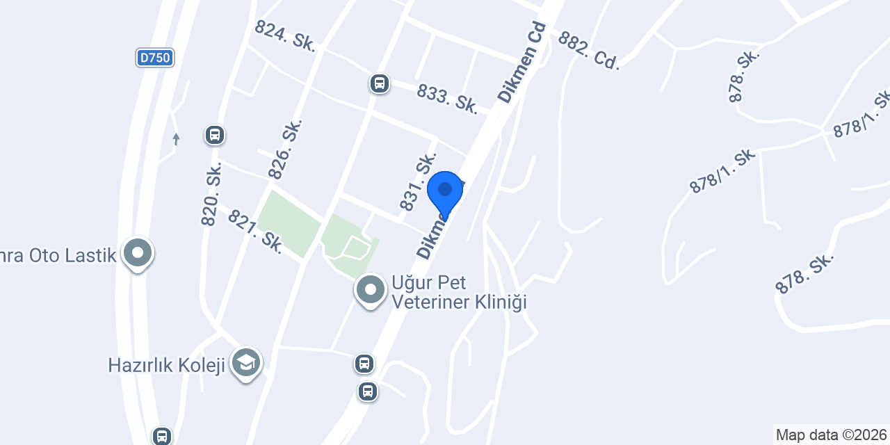 İlk Çağlar Çiçekçilik konumu