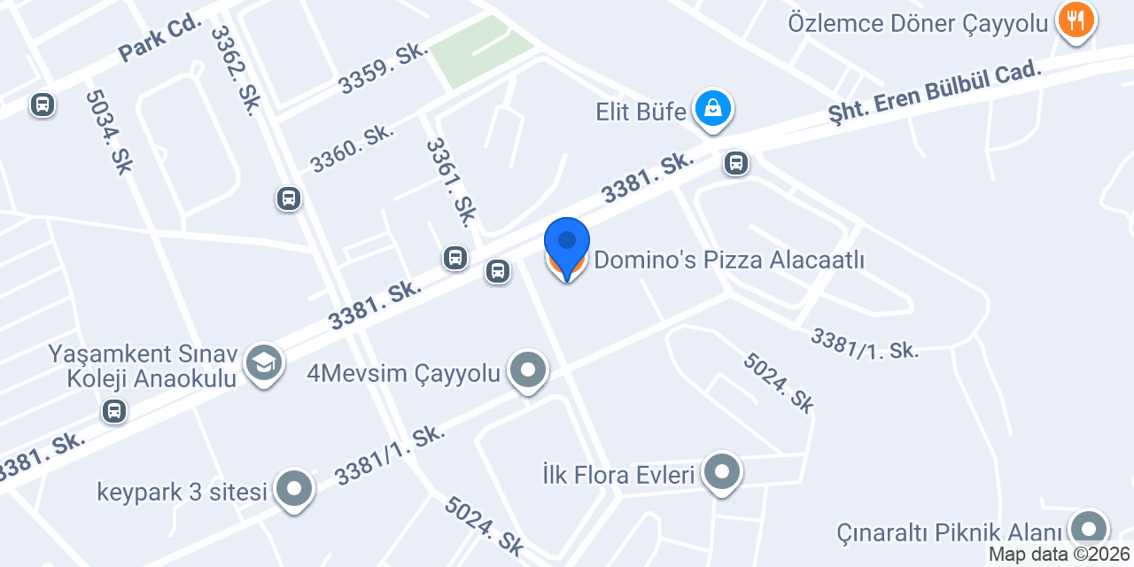 Domino's Pizza Alacaatlı konumu