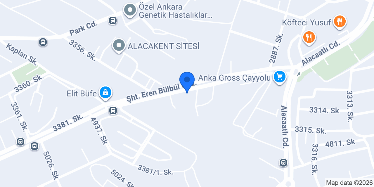 Masadabiz konumu