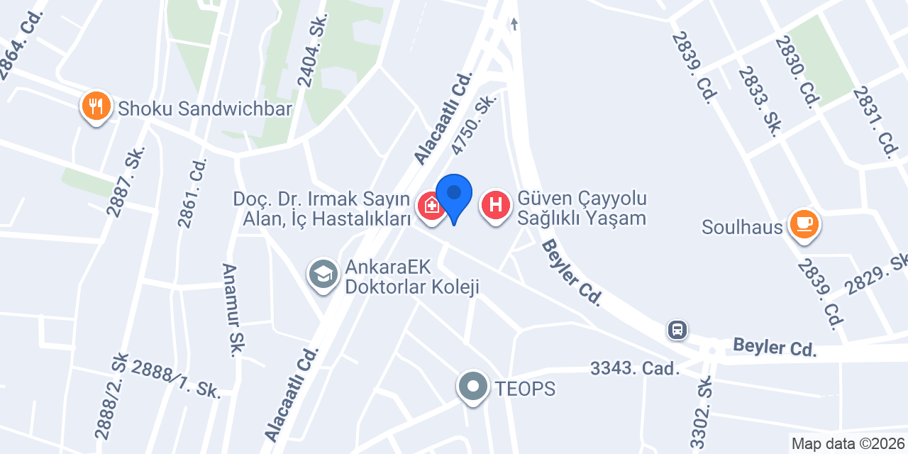 Doç. Dr. Özlem Banu Tulmaç konumu