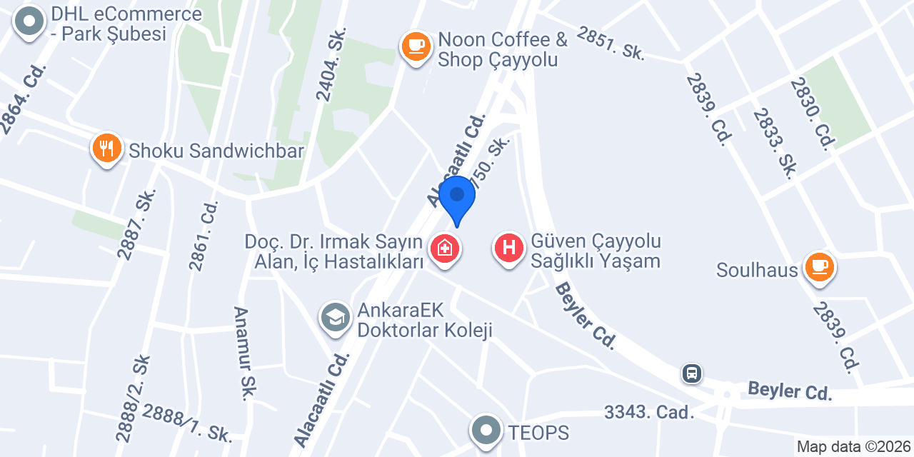 Ertonga Ev Bahçe Aksesuar konumu