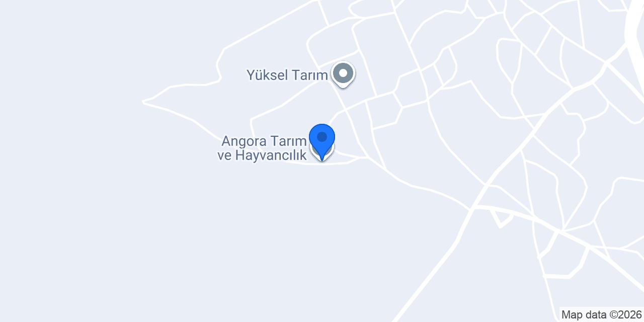 Angora Tarım ve Hayvancılık konumu